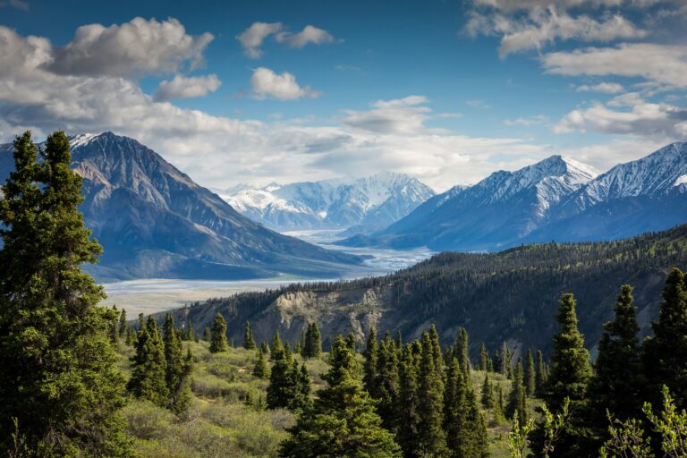 Faith That Moves Mountains in Business